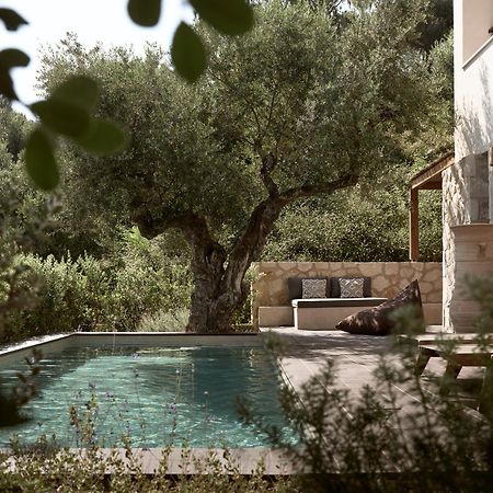 Zayn Luxury Villas, A Serene Escape, By Thinkvilla Tsilivi  Eksteriør billede