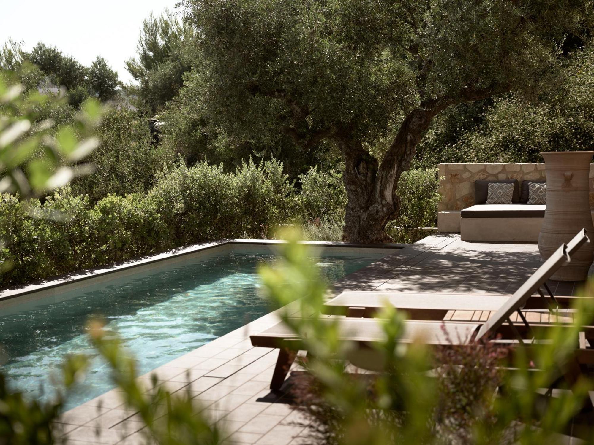 Zayn Luxury Villas, A Serene Escape, By Thinkvilla Tsilivi  Eksteriør billede