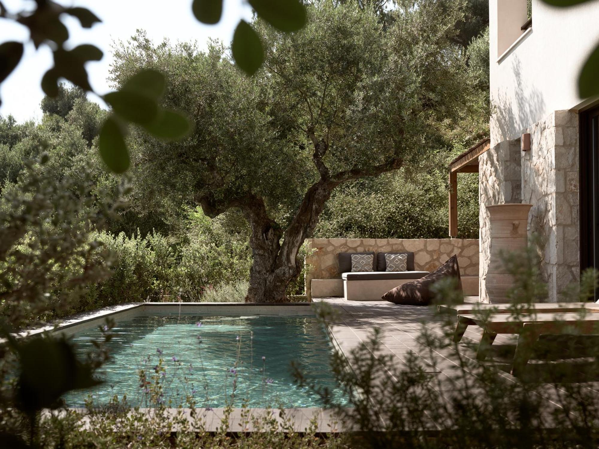 Zayn Luxury Villas, A Serene Escape, By Thinkvilla Tsilivi  Eksteriør billede